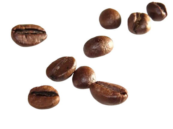 coffee beans