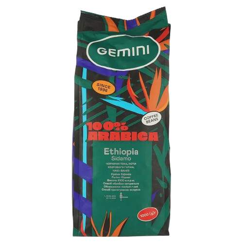 Gemini Ethiopia